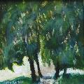 P�emysl STRAKA