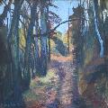 P�emysl STRAKA