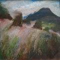 P�emysl STRAKA