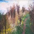 P�emysl STRAKA