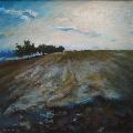 P�emysl STRAKA