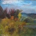 P�emysl STRAKA