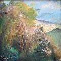 P�emysl STRAKA