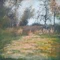 P�emysl STRAKA