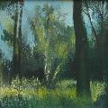 P�emysl STRAKA