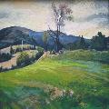P�emysl STRAKA