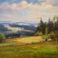 Ale� VENHODA